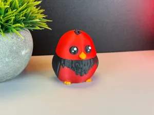 Cute Bird