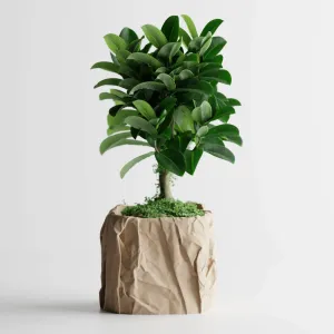 Crumbled Paper Pot – Now Available in Square Form!