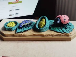 Ladybug Life Cycle – Educational Model