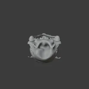 Emu Skull