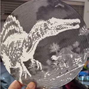 Dino1