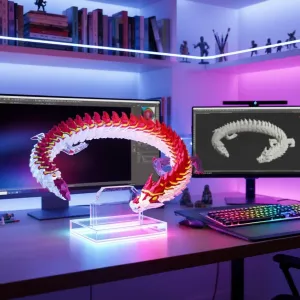 Ice Dragon - Multicolor