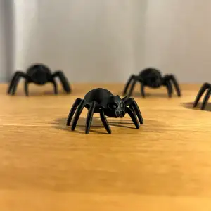 Creepy Spider