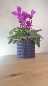 Planter (crality)