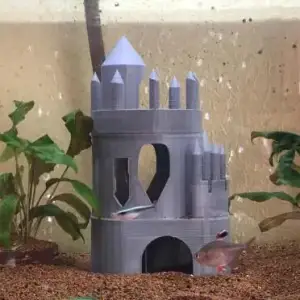 Aquarium Lock