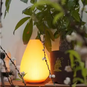 Flower bud craft lamp - No support