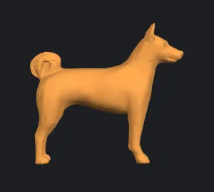 Basenji