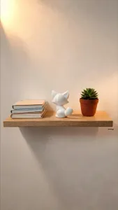 Cute little fox