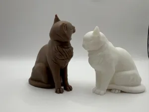 Cat Love