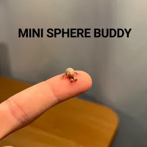 Mini Sphere Buddy