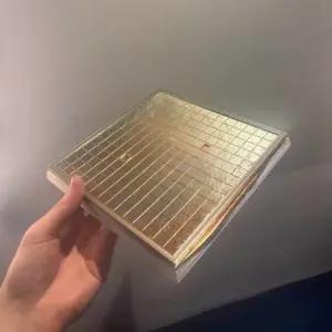 Blokus plate