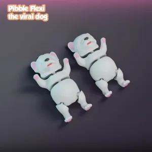 Pibble Flexi, the viral dog - Multicolor