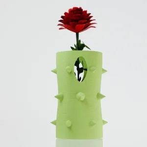 Vase of Thorns