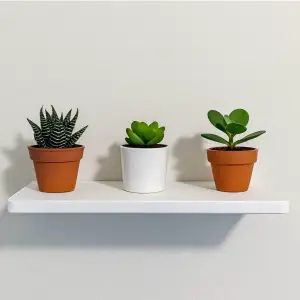 Floating Shelf
