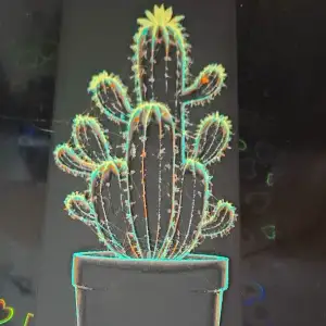 cactus