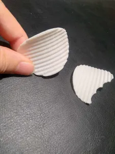 Chips