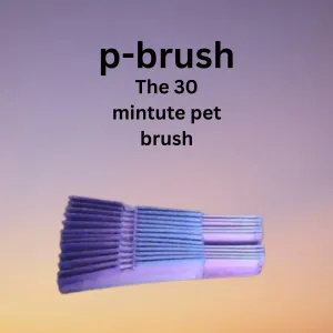 P-Brush, The 30 minute pet brush