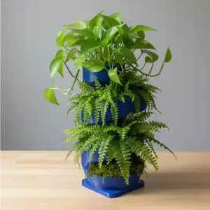 Helical Planter