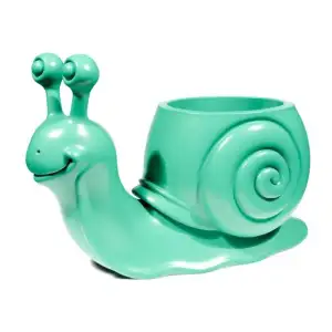 Flowerpot snail