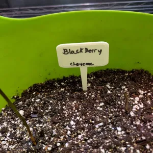 Basic Garden Sign