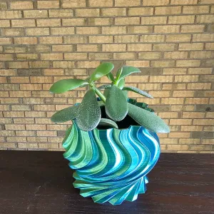Blooming Blub Plant Pot with drainage hole