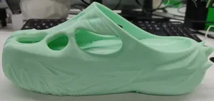Dragon Flame shoes for 3dprinting