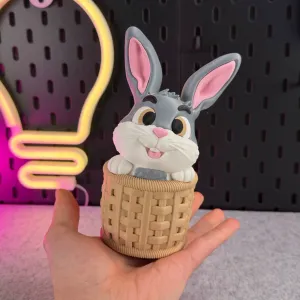 Cute Bunny