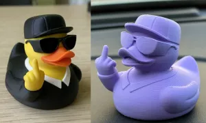 Mr. Duck Duckster