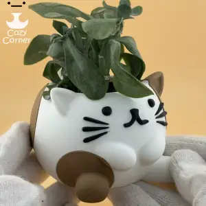 Cute Cat planter