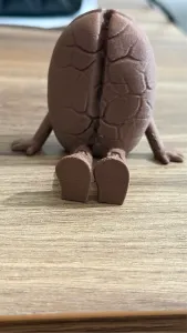 coffee bean