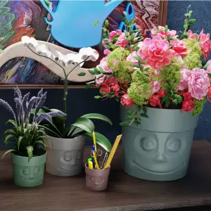 VaseWithFace! #5 Vase with a face!