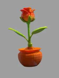 Rose in a Pot