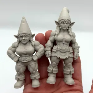 Strong Female Gnomes
