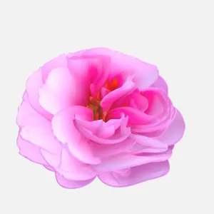 Rose - no support