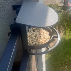 Bird feeder for balcony