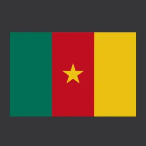 CM - Cameroon decoration Flag