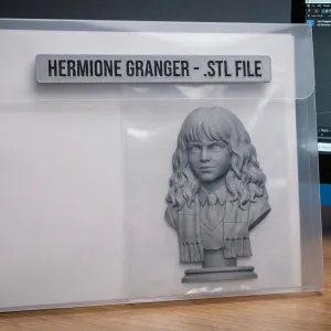 Hermione Granger Harry Potter