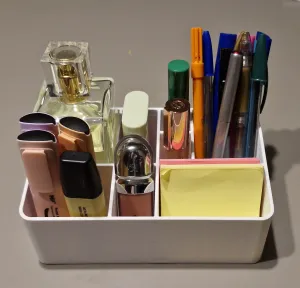 Organizer