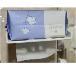 wall-mounted tissue holder
