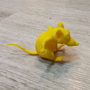 rat