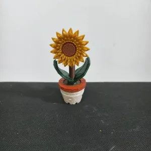 小小向日葵