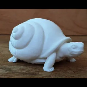 snurtle