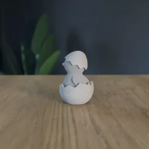 Hatched Chicken