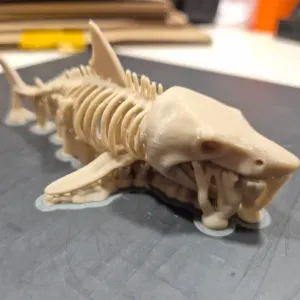 tiburón esqueleto