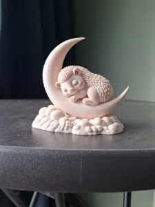 Sleeping Hedgehog on Crescent Moon
