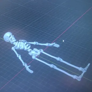 Movable skeleton