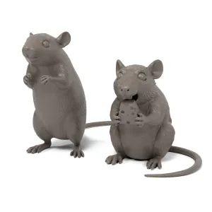 Rats