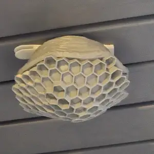 wasp  decoy/ fake waspnest