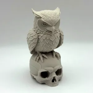 Owl on Skull