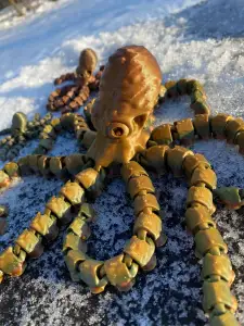 Octopus and Juvenile